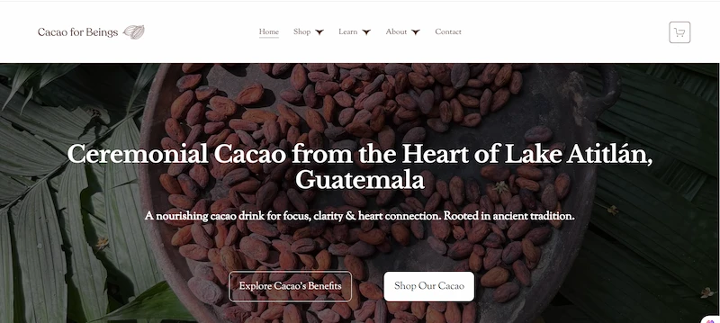 Cacao for Beings